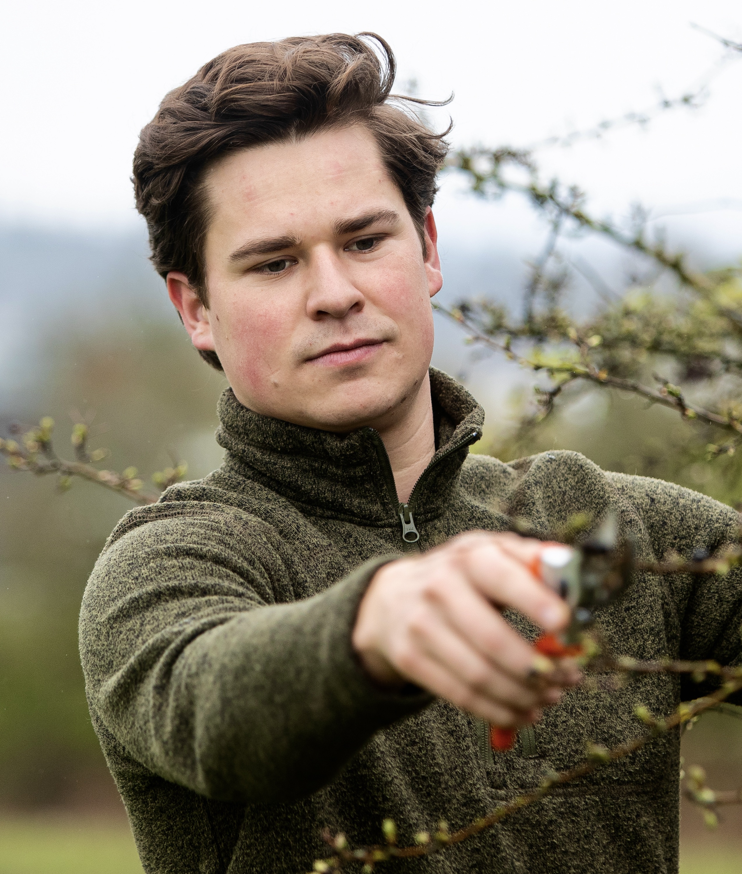 Professional Choisya Pruning Services in Victoria, BC