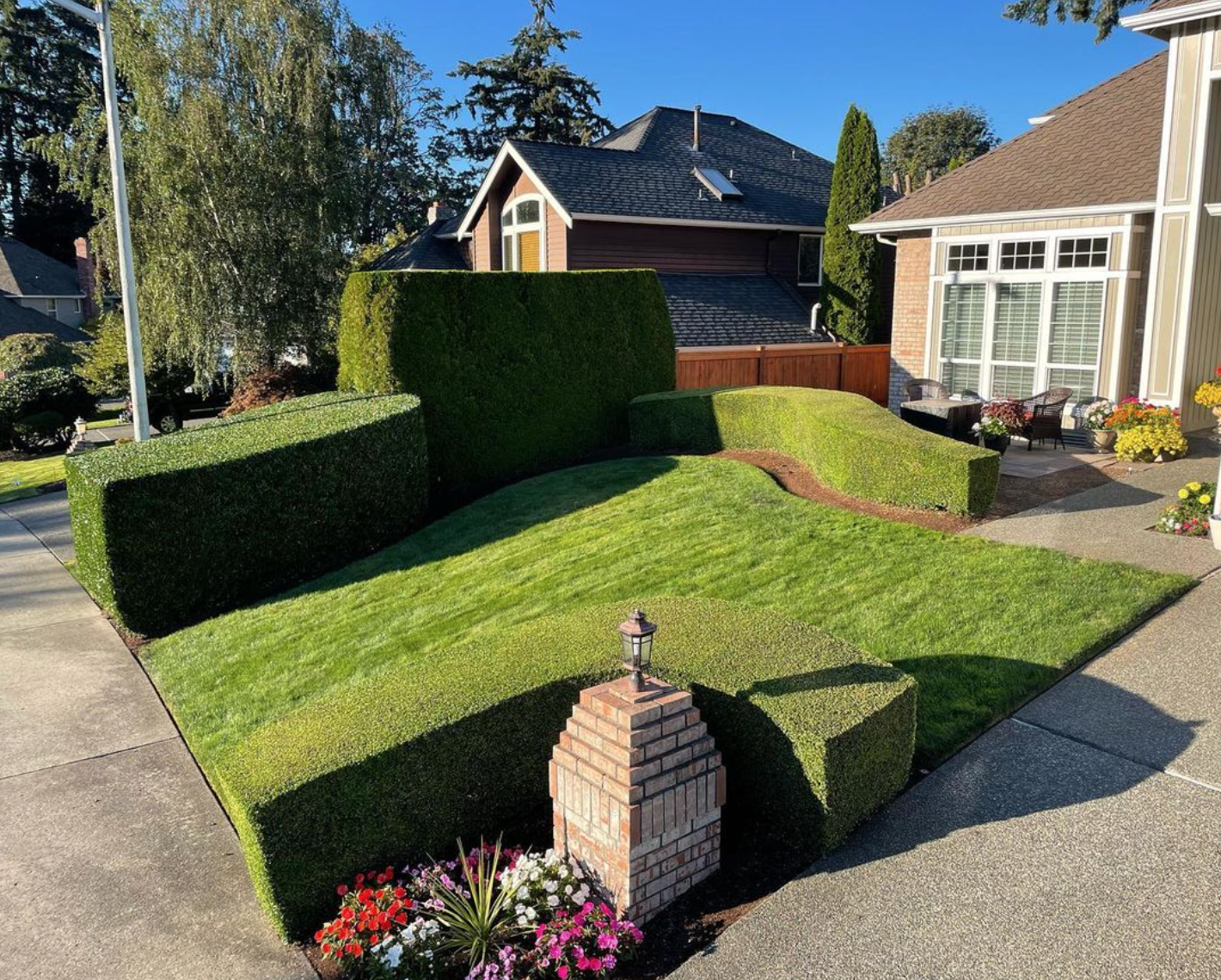 Ascent Yard Care - Hedge trimming