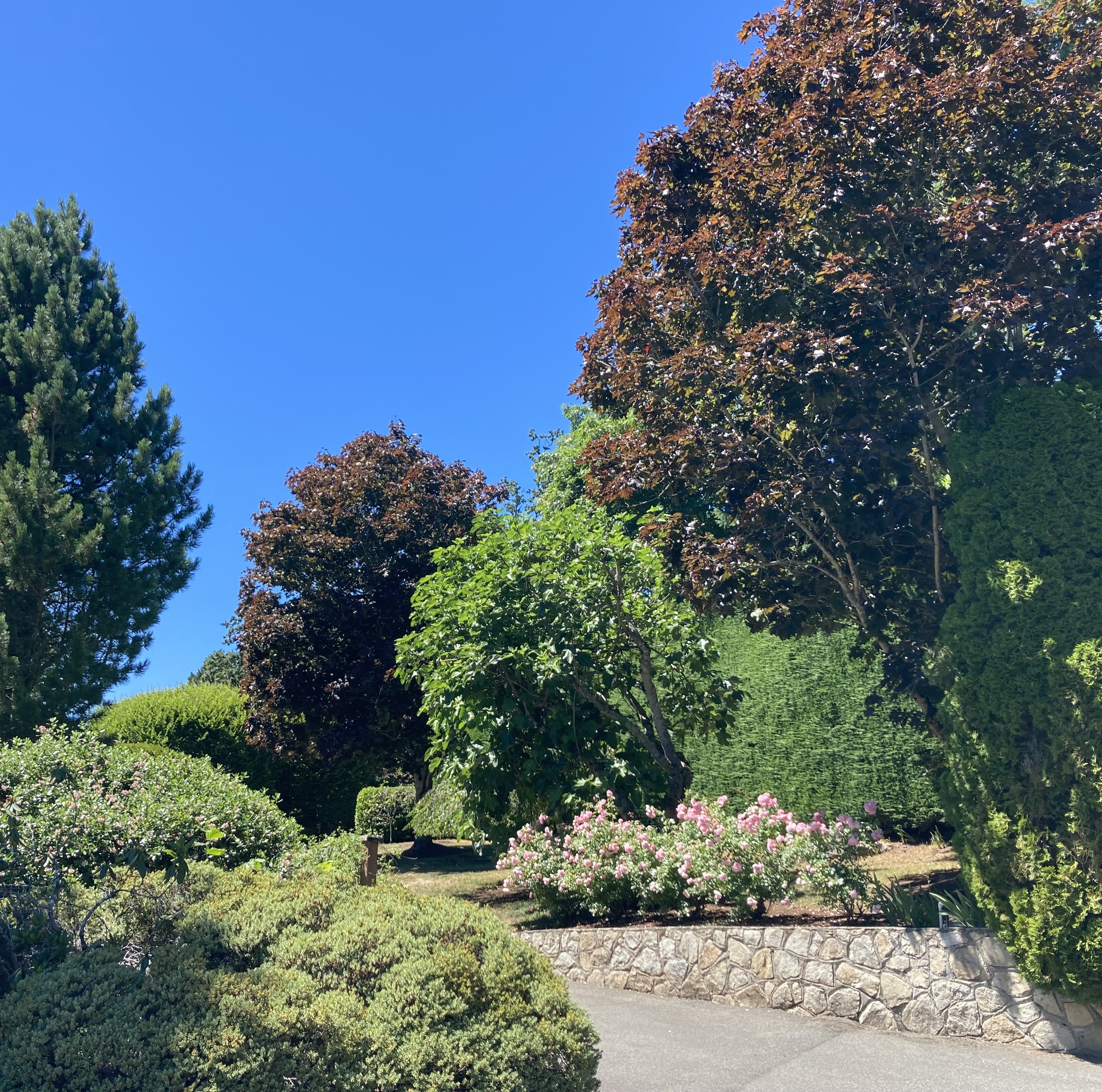 Ascent Yard Care - Victoria’s Top Rated Service for Trimming and Pruning